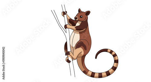 Charming tree kangaroo clinging to a branch, showcasing its unique arboreal adaptations and striped tail, illustrated on white.