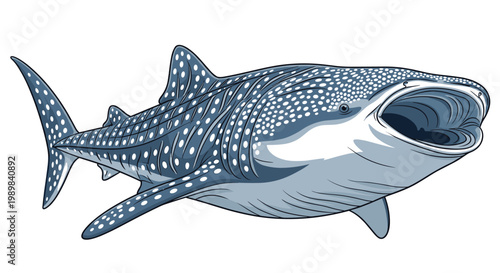 Enormous whale shark with open mouth, displaying its distinctive spotted pattern, captured in a detailed illustration on a white background.