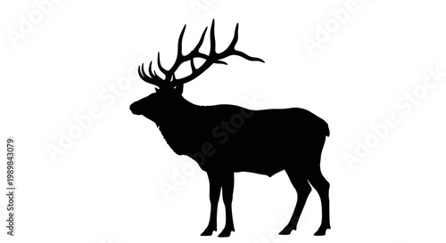Billede på lærred Majestic elk stands proudly defined by its striking silhouette