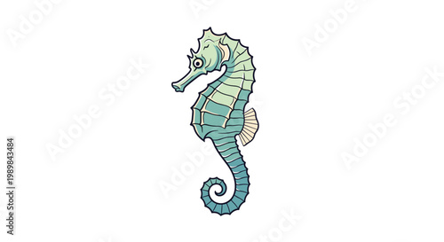 Elegant seahorse swimming upright, showcasing its distinctive equine head and curled tail, depicted in a stylized illustration on white.