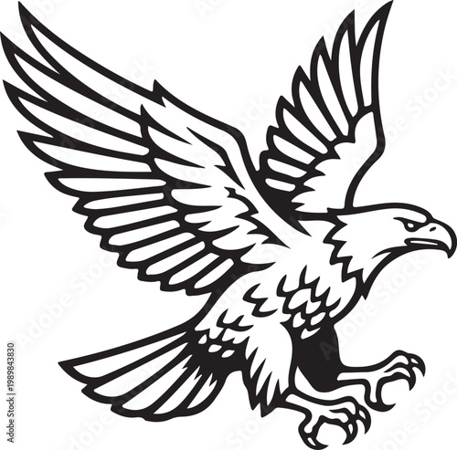 Eagle Flying with Spread Wings in Black and White white background
