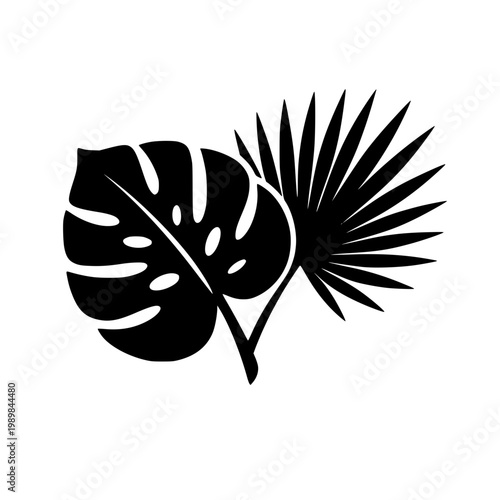 Tropical Leaves Illustration with Monstera and Palm