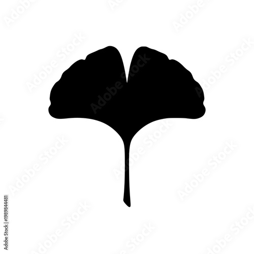 Ginkgo Leaf Silhouette