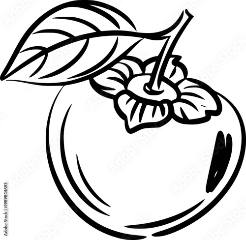 Black and white outline of a persimmon fruit with leaf and stem