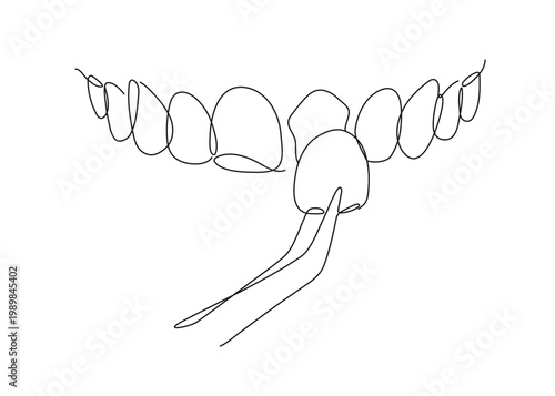 Ceramic veneers installation procedure for teeth silhouette drawing in linear style with thin black lines on white background
