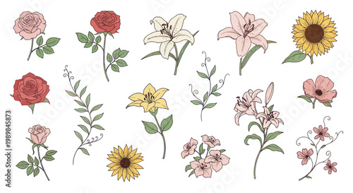 Vintage floral botanical illustrations with roses, lilies, and sunflowers