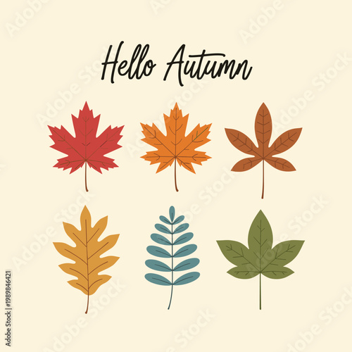 Hello autumn text with a collection of six colorful hand drawn flat leaves in red orange brown yellow blue and green arranged on a light beige background