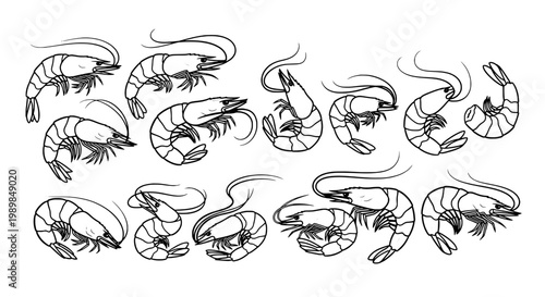 Fish sketch doodle set with swirling outlines, line art scales, and dynamic fin movements for ocean themed designs