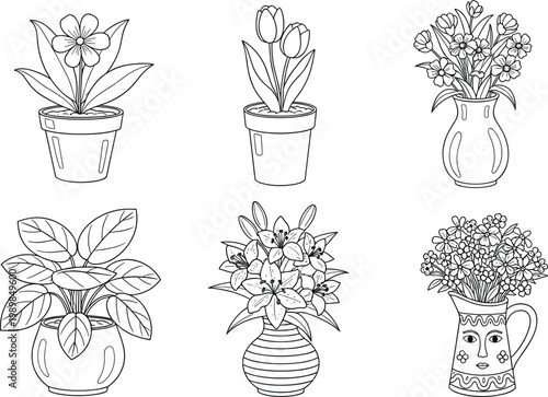 Collection of decorative houseplants and flower arrangements in pots and vases illustrated in elegant outline style for home interior and botanical design