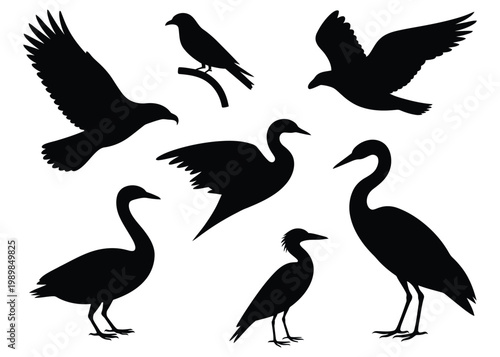 A collection of various bird species depicted in striking black silhouettes against a white background silhouette