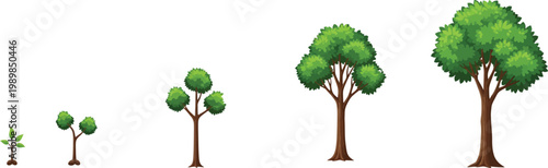 A set of five cartoon trees in various stages of growth