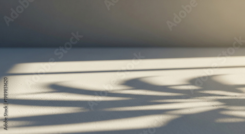 A serene interior scene with sunlight casting leaf shadows on a white floor