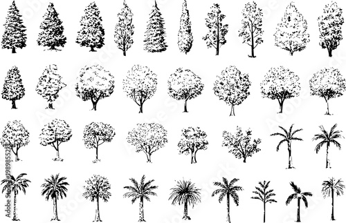 Collection of hand-drawn black and white tree silhouettes, various species nature
