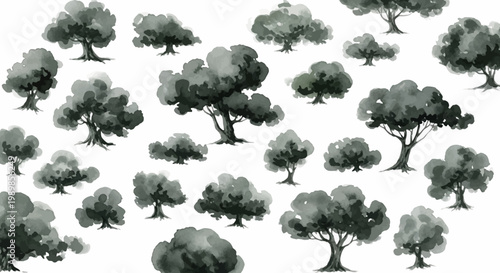 Watercolor olive tree vector set, hand drawn ink wash trees in monochrome grey, collection of botanical plant silhouettes for landscape design