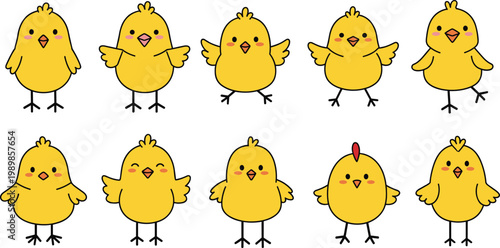 Vector set of cute little yellow chick characters in kawai style for Easter celebrations children nursery decor and poultry farm branding projects isolated on white background.