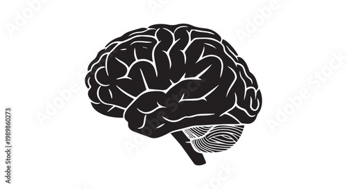 Human brain silhouette side view black anatomical icon representing intelligence psychology neurology and medical science themes.