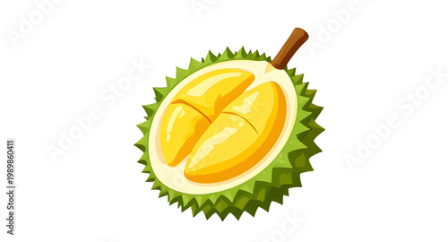 durian, fruit, cartoon, tropical, spiky, thorny, food, exotic, green, asian, king, sweet, smell, pulp, fresh, illustration, simple
