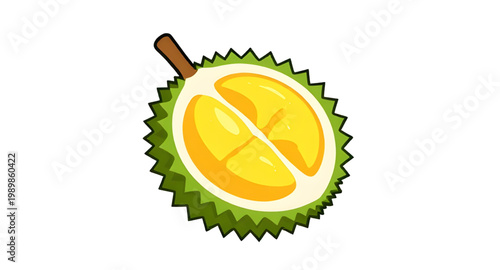 durian, fruit, cartoon, tropical, spiky, thorny, food, exotic, green, asian, king, sweet, smell, pulp, fresh, illustration, simple