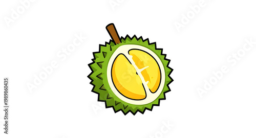 durian, fruit, cartoon, tropical, spiky, thorny, food, exotic, green, asian, king, sweet, smell, pulp, fresh, illustration, design