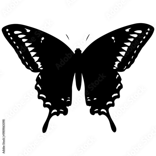 Elegant Black Silhouette of a Pipevine Swallowtail Butterfly