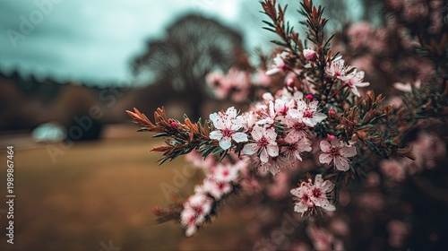 Delicate pink blossoms adorn a leafy branch in an outdoor setting