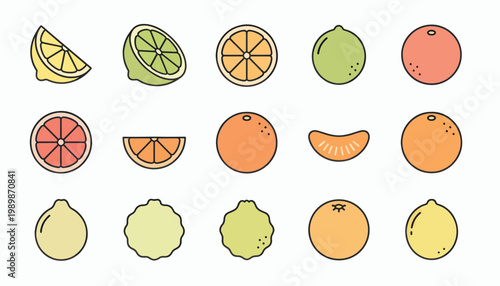 A colorful illustration of various citrus fruits on a white background