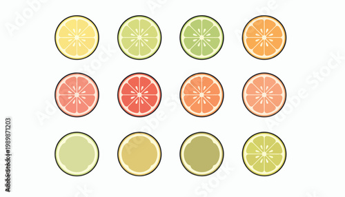 A colorful illustration of various citrus fruit slices on a white background
