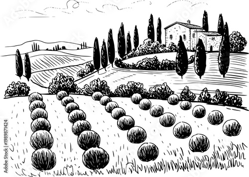 Hand-drawn of a tuscan landscape with rolling hills, cypress trees, and a villa tuscany