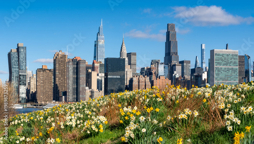 Photography Spring view of Midtown Manhattan skyline and skyscrapers across the East River f