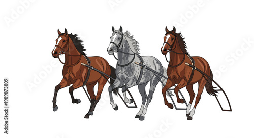 Three powerful harness racing horses with detailed muscle definition gallop across a pristine white background under bright and even studio lighting.