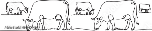 Cows on pasture in One continuous line drawing. Milk calf animal grazing symbol and beef meat farm concept. one line Icon drawing