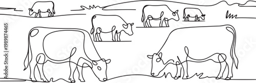 Cows on pasture in One continuous line drawing. Milk calf animal grazing symbol and beef meat farm concept. one line Icon drawing