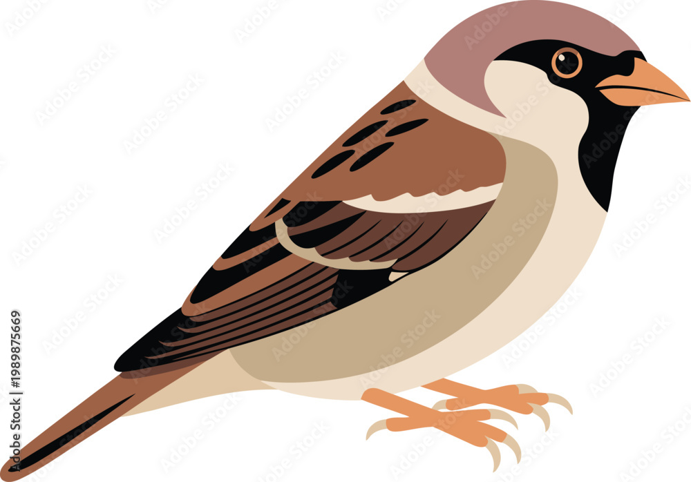 Obraz premium Sparrow perched on a branch with a clean white background vector illustration