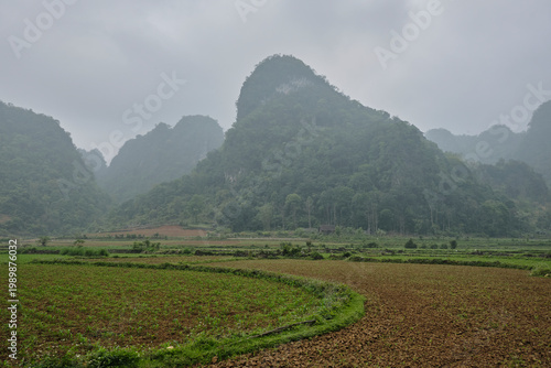 Misty landscape of limestone karst mountains in Cao Bang, Vietnam, with lush green farmland and agricultural fields in a dramatic cloudy setting