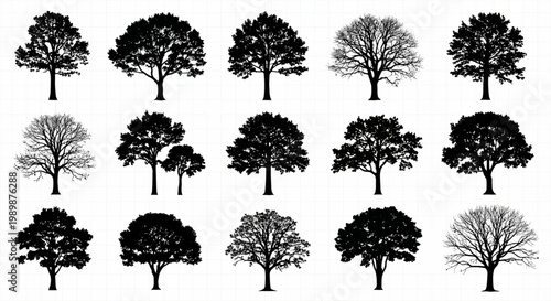 Collection of diverse tree silhouettes in various stages of foliage showcasing different species and seasonal appearances against a clean white background for versatile design