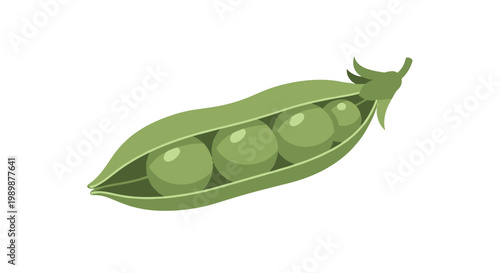 A singular vibrant green pea pod is split open to reveal five perfectly round and glossy peas nestled within the protective curved shell of the plant.