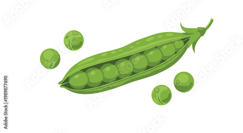 A fresh green pea pod rests horizontally while displaying its succulent interior seeds alongside several loose spherical peas against a pristine white backdrop.