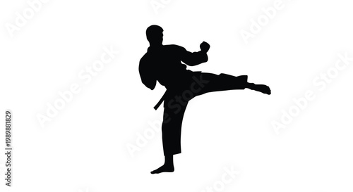 Silhouette of a martial artist executing a dynamic kick pose