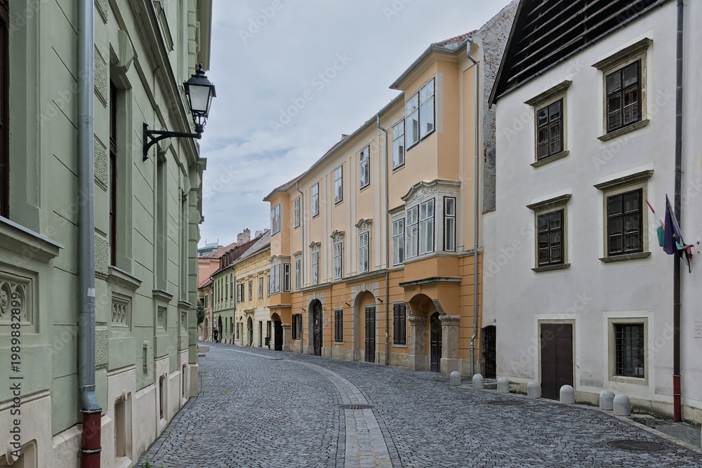 Obraz premium Medieval houses along a street in downtown Sopron, Hungary 