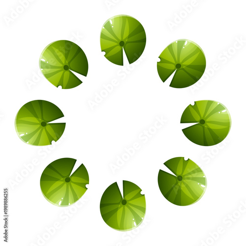 Lily pads circular wreath water plant minimal composition