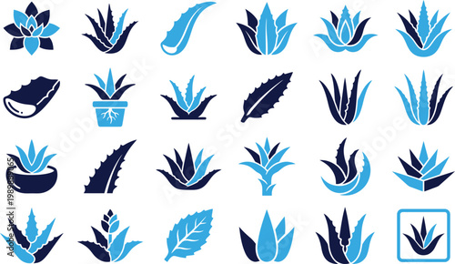 Aloe vera plant icons diverse collection of succulent and herbal symbols.