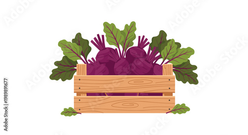 A sturdy wooden crate is overflowing with a bountiful harvest of fresh purple beetroots and vibrant green leaves ready for the local market display.