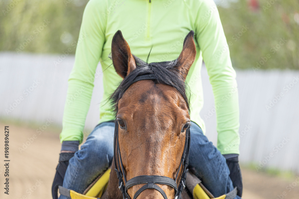Obraz premium Close-up of a Thoroughbred racehorse's face with a centered rider.