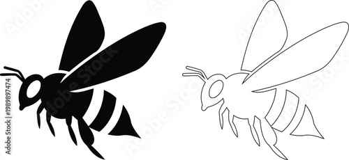 Bee silhouette and line art a study in insect form