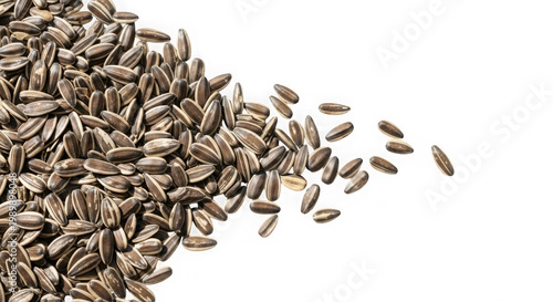 Pile of brown sunflower seeds isolated on transparent background for snack