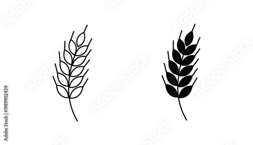 Wheat stalk ear icon set in outline and solid black style for agriculture branding