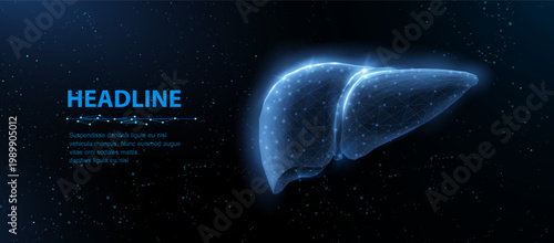 Liver. Abstract vector 3d illustration. Liver health, Fatty liver, Bile detox, Nash disease, Cirrhosis concept, Cancer metabolism, Fat detoxification, Hepatic inflammation, Glycogen metabolism concept