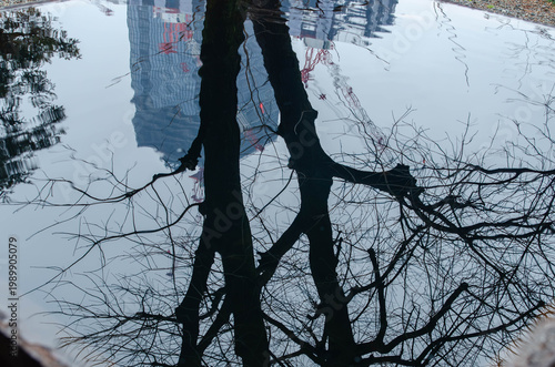 Skyscraper and Tree Reflection in a Puddle