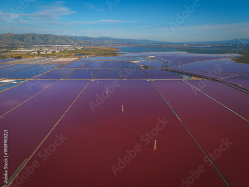 San Francisco Bay Salt Ponds, California