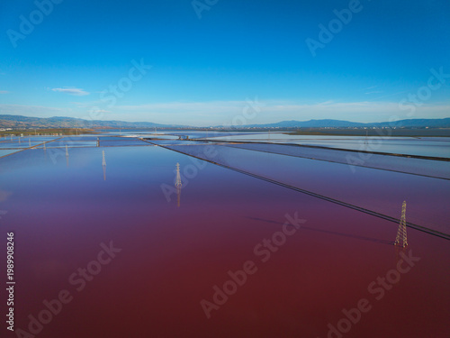 San Francisco Bay Salt Ponds, California